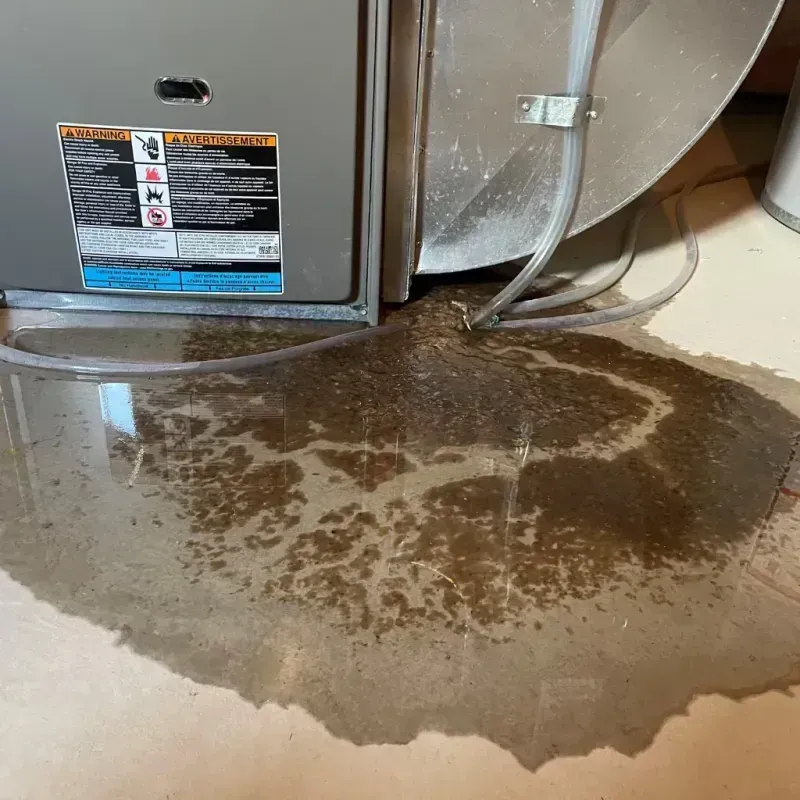 Appliance Leak Cleanup in Pryor, OK